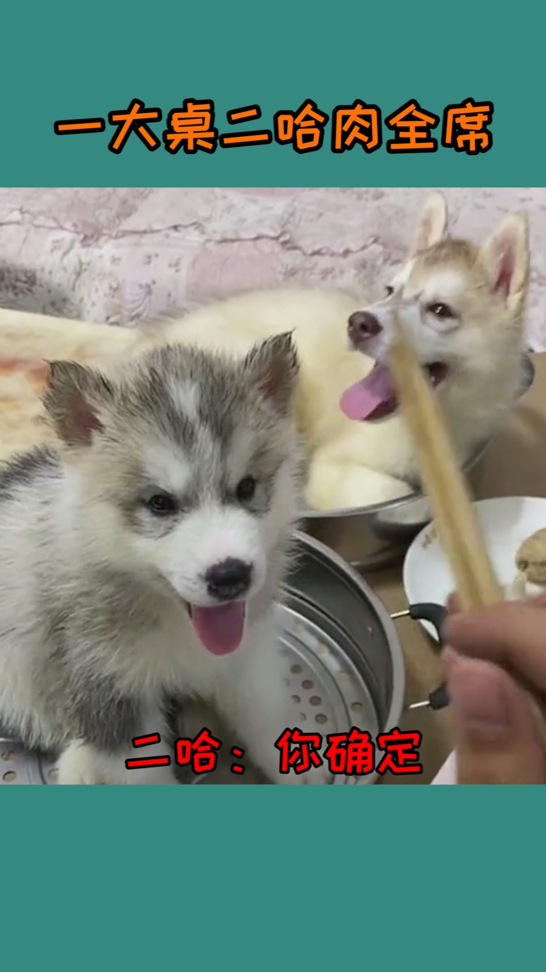 你确定这样对我,家不想要了吗
