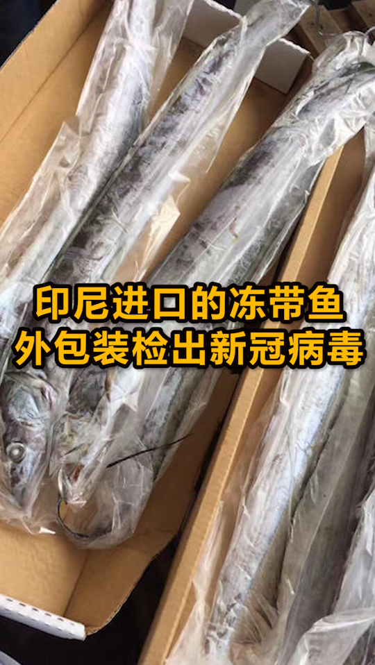 印尼进口的冻带鱼外包装检出新冠病毒,海关总署发话了!