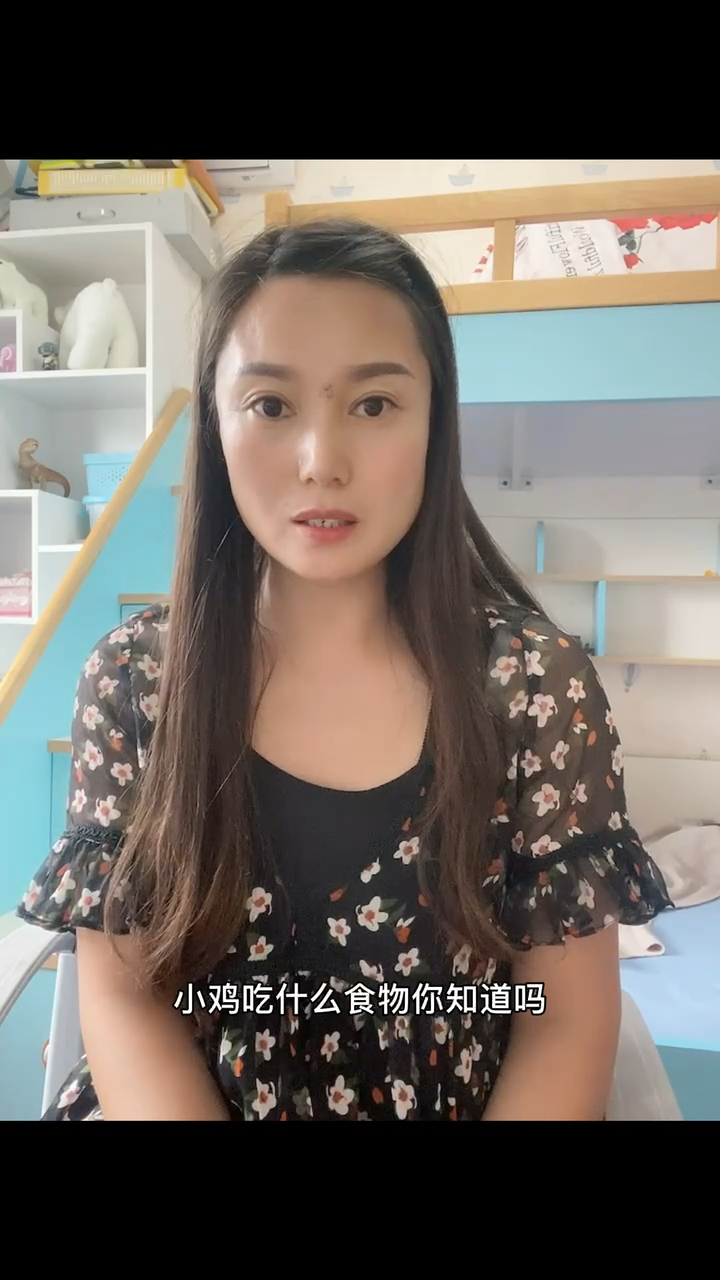 小鸡吃什么食物?
