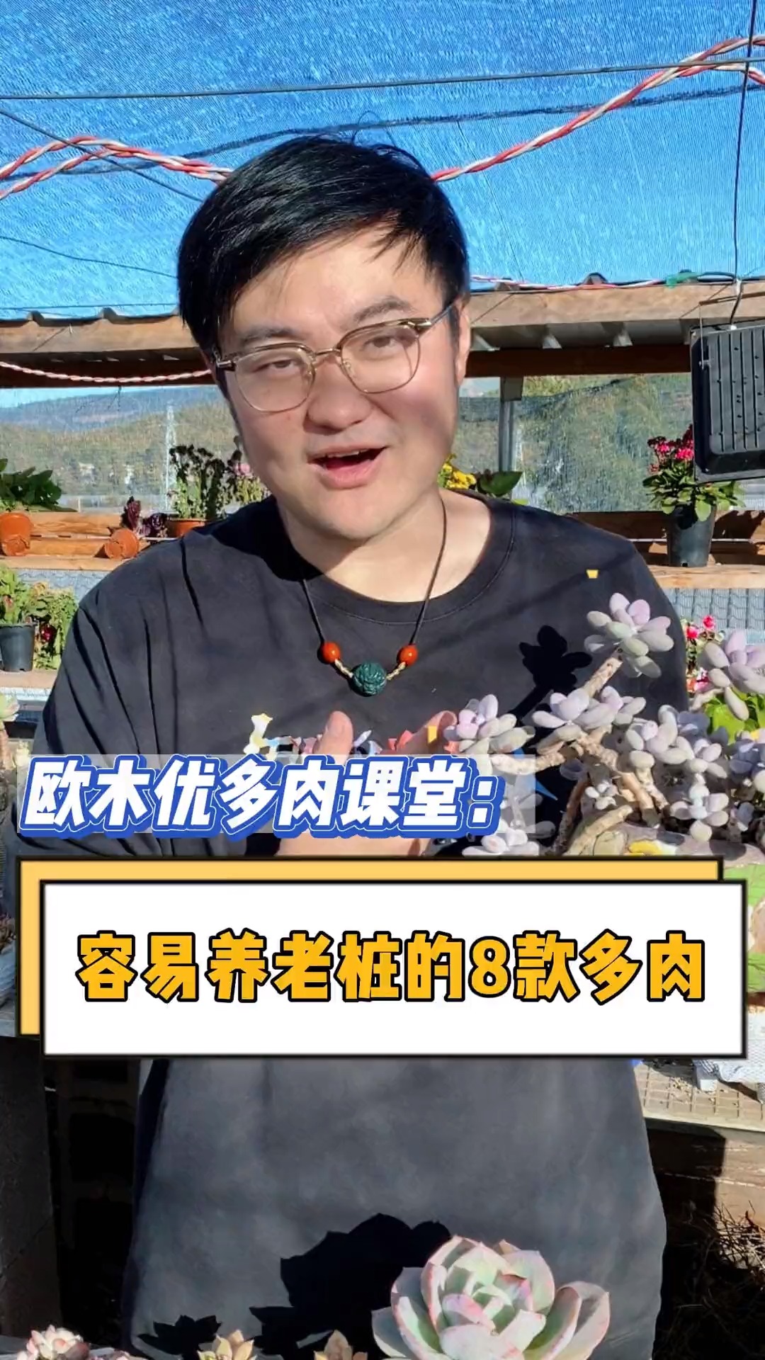 #有一种可爱叫多肉!#哪些品种的多肉更容易养老桩呢?这个视频告诉你,学会的点赞收藏#多肉#