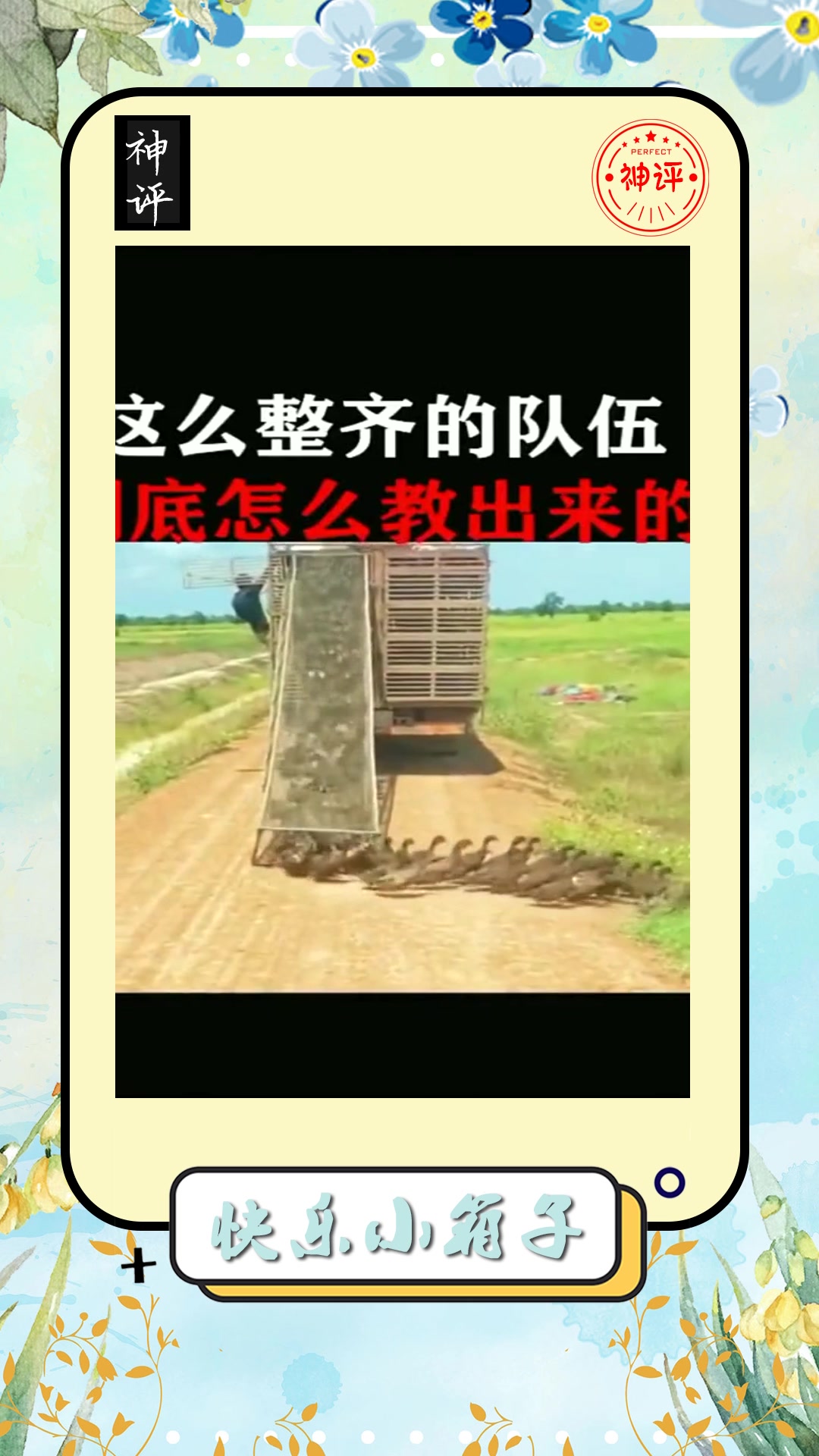 #搞笑#一群鸭子排着整齐的队伍它们这是要参加什么运动吗