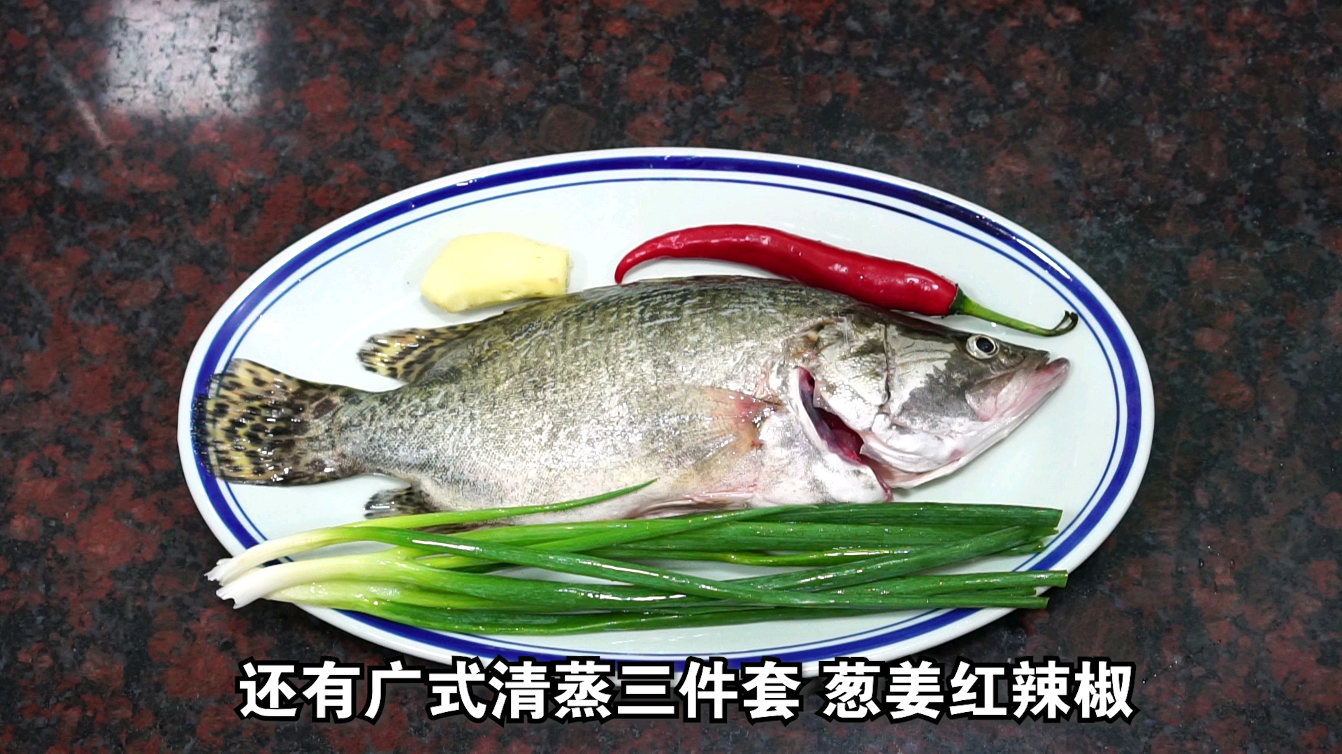 #潮汕美食#清蒸桂花鱼,广东人海鱼原汁原味的做法。