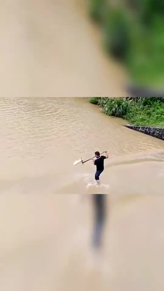 猪八戒大战鲤鱼精,这么激烈的画面,真是让人大开眼界!