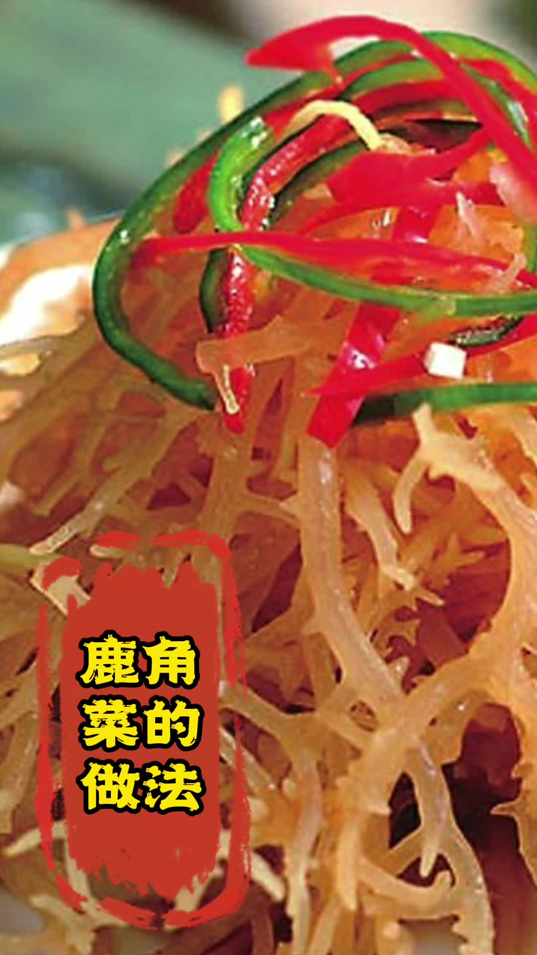 鹿角菜的做法,你清楚了吗