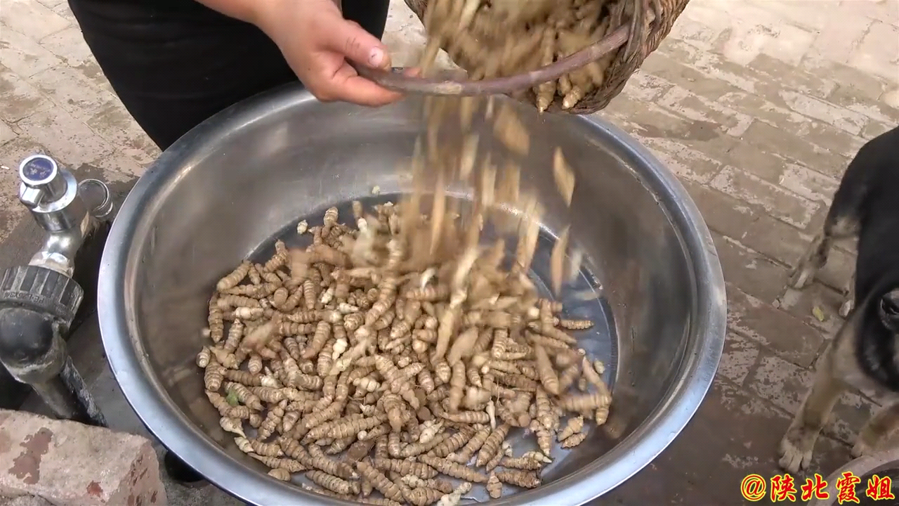糖醋螺丝菜的腌制方法 