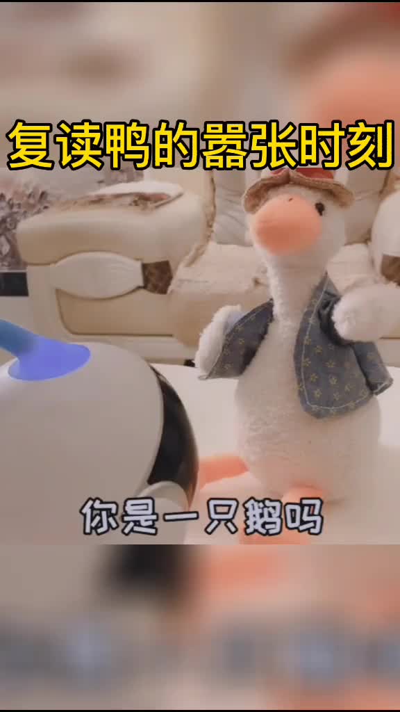 #沙雕沙雕沙雕这个鸭子还挺嚣张的啊!
