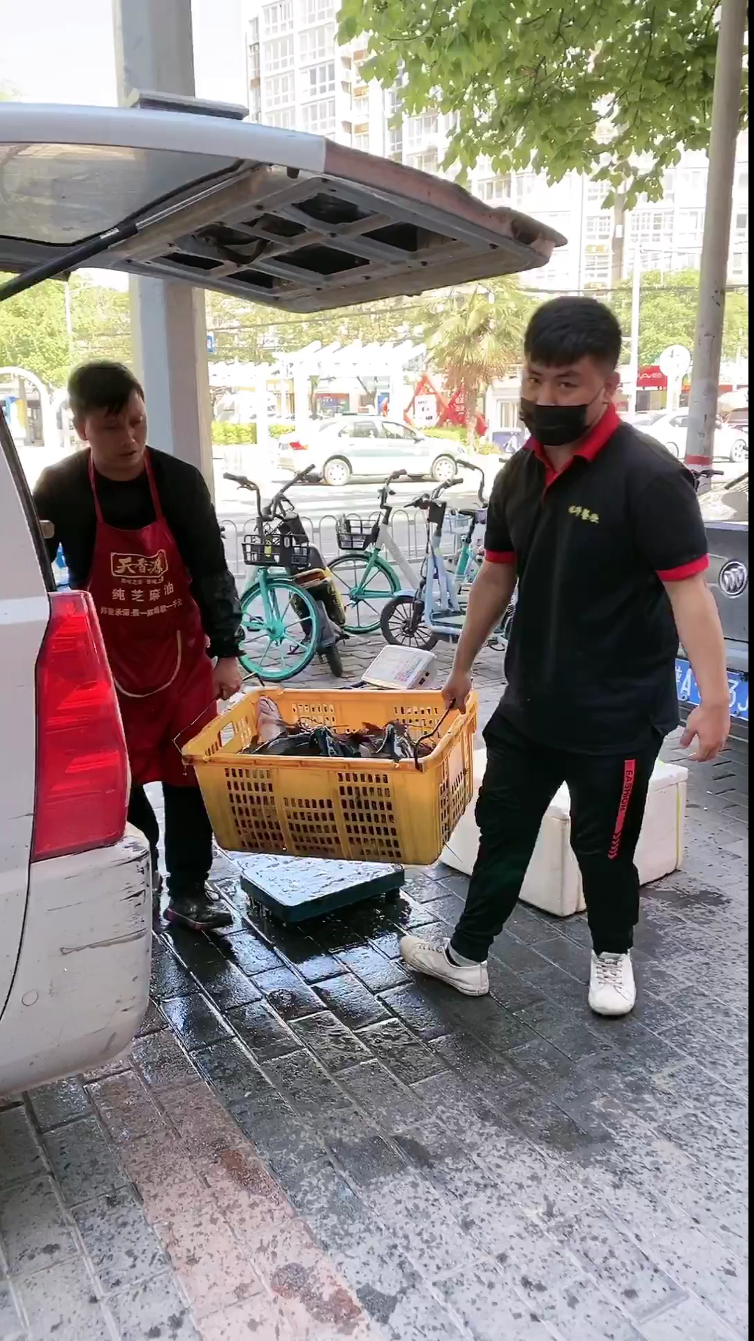 #我要上热门#清江鱼我们当地叫江团!