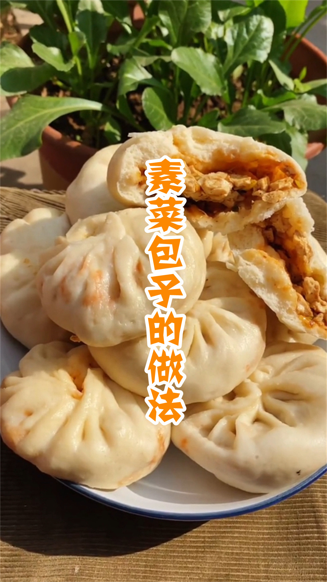 素菜包子的做法