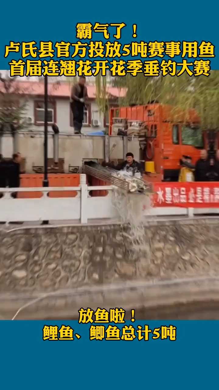 霸气了!卢氏县官方投放5吨赛事用鱼,首届连翘花开花季垂钓大赛