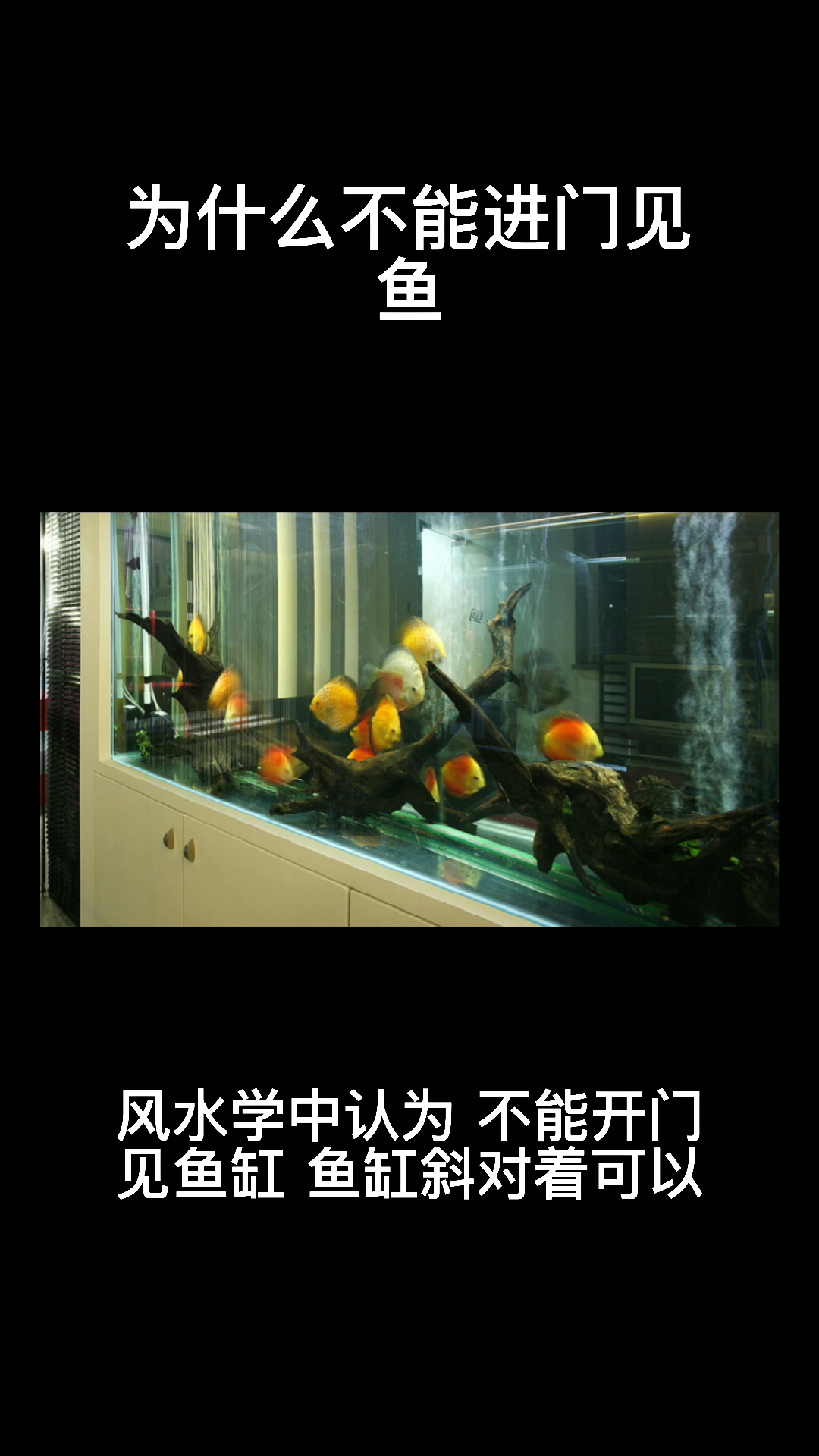为什么不能开门见鱼