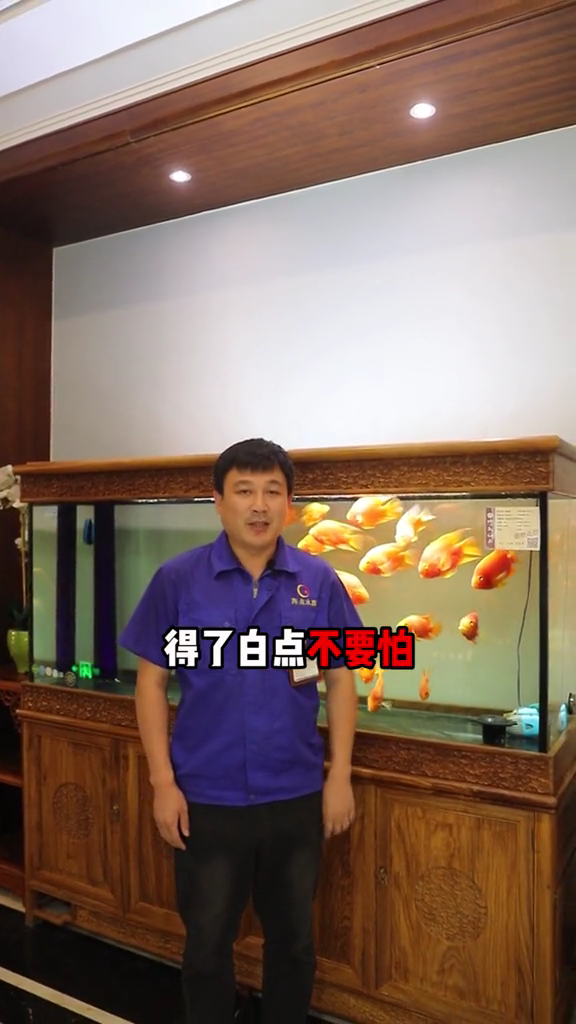 金鱼鱼尾白点怎么回事