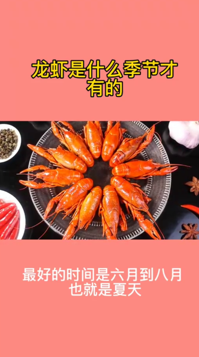 龙虾是什么季节才有的。  