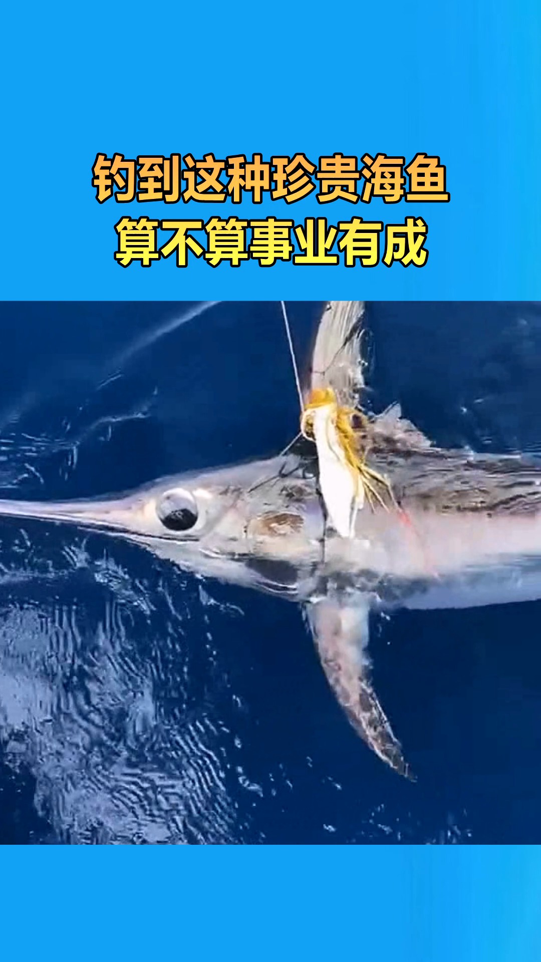 #我要上热门#这种珍贵鱼都能钓到,这是什么神仙运气