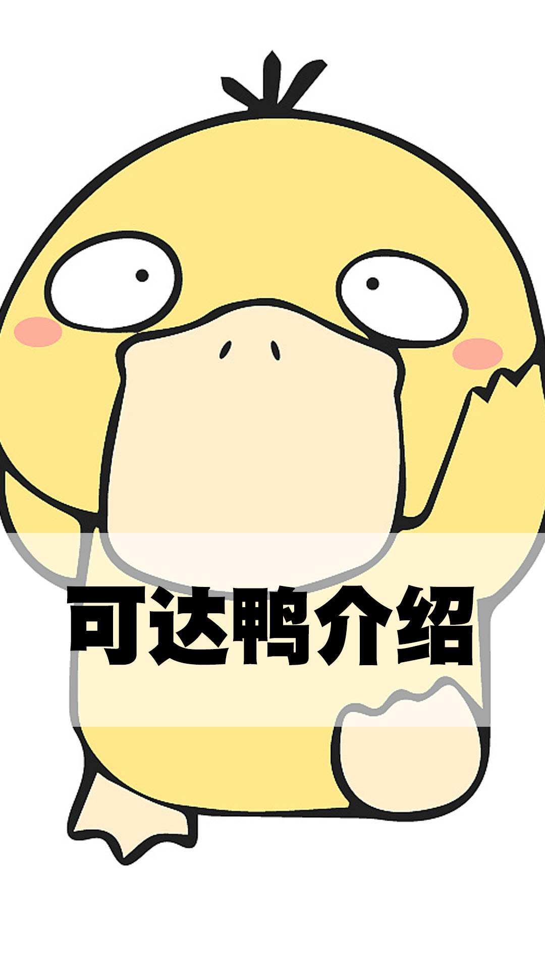 可达鸭介绍