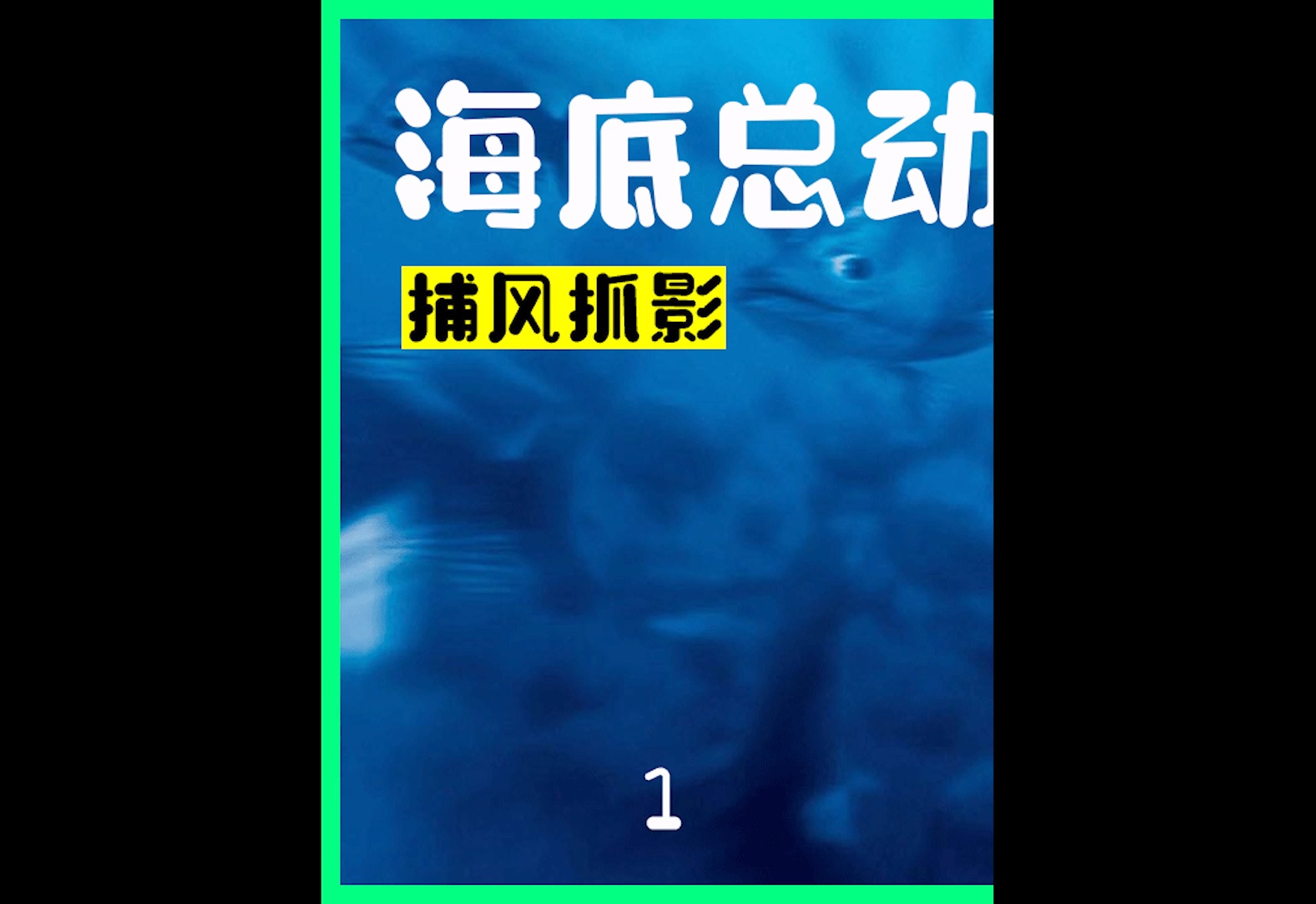 小丑鱼尼莫第一天上学,父亲想保护好唯一的孩子,可还是出事了《海底总动员》