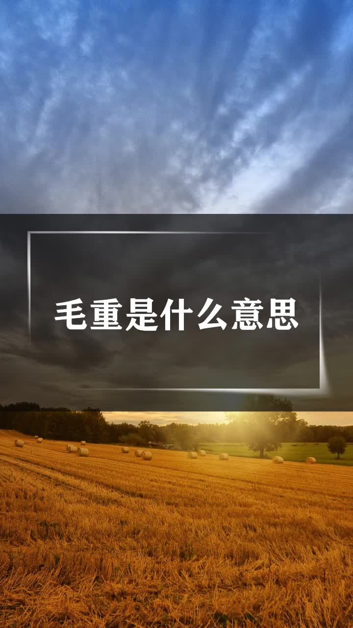 毛重是什么意思
