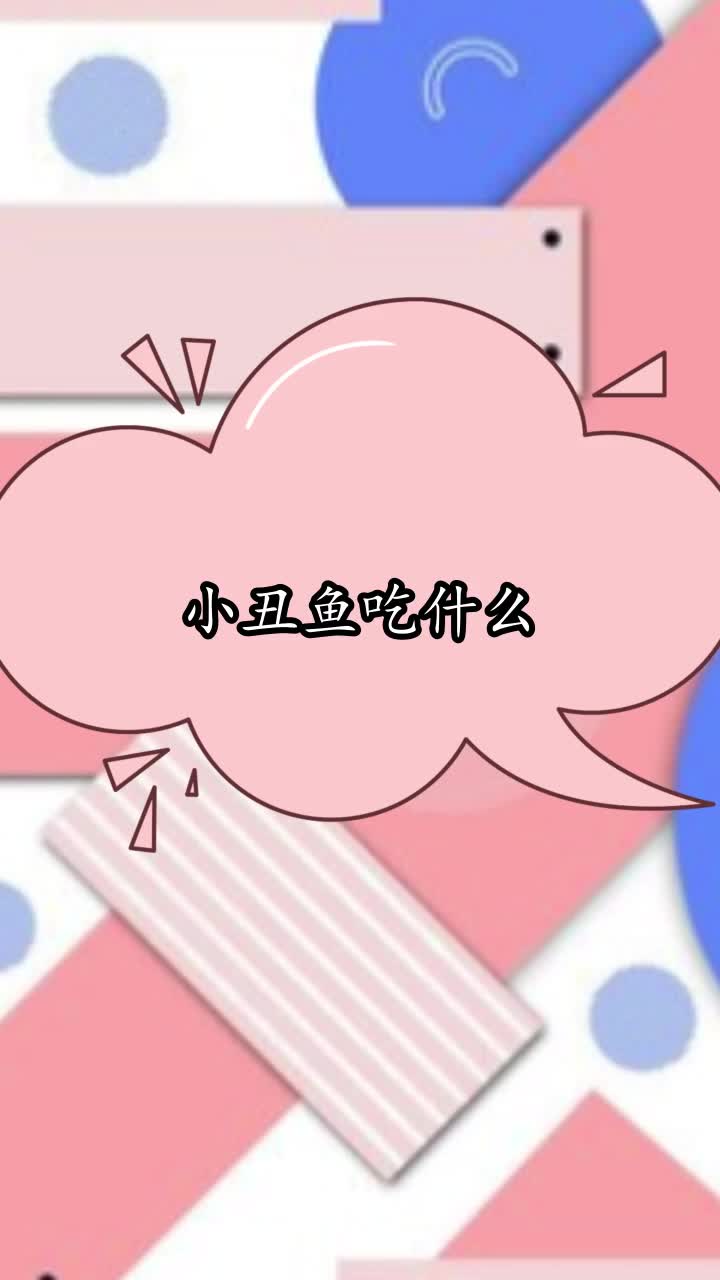 小丑鱼吃什么,你理解了吗