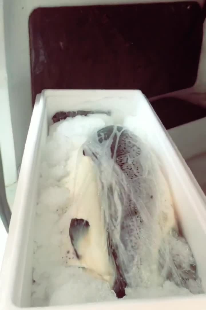如何挑选三文鱼～鱼肉有光泽,有弹性,颜色是鲜明的橘红色。三文鱼的颜色和其营养价值成正比