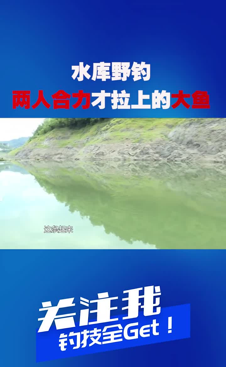 水库野钓比赛,最后上来一尾大鲶鱼,两人合拉才成功钓获