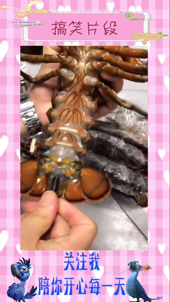 为什么开波士顿龙虾前,还要给他放尿尿,有没有行家给解释一下。点开头像,搞笑视频