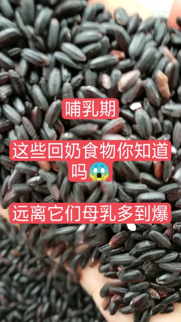 回奶食物对照单:芹 菜,白萝卜,母鸡汤,芸豆,榴莲,桃 麦芽、蒲公英 、花椒、茶