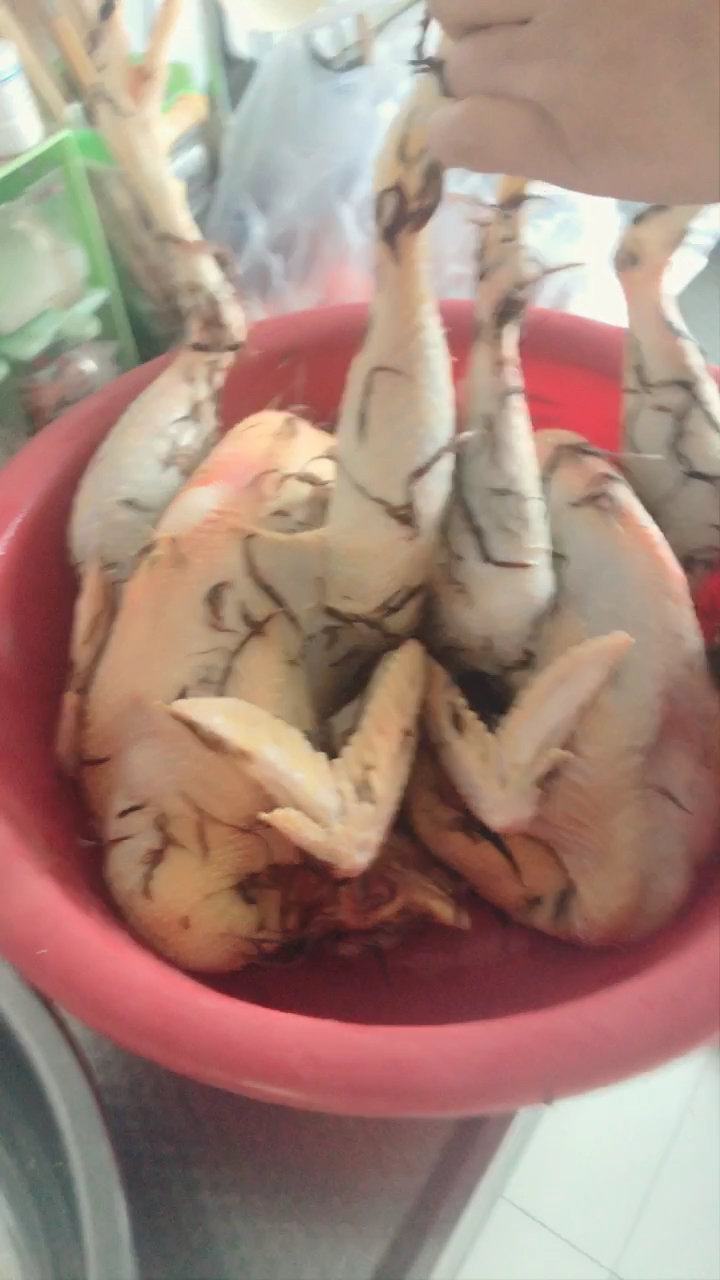 农村小笨鸡
