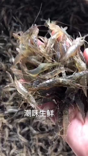 不时不食,野生小土虾,日日新鲜冻,死虾挑挑掉,整只吃,爽脆,