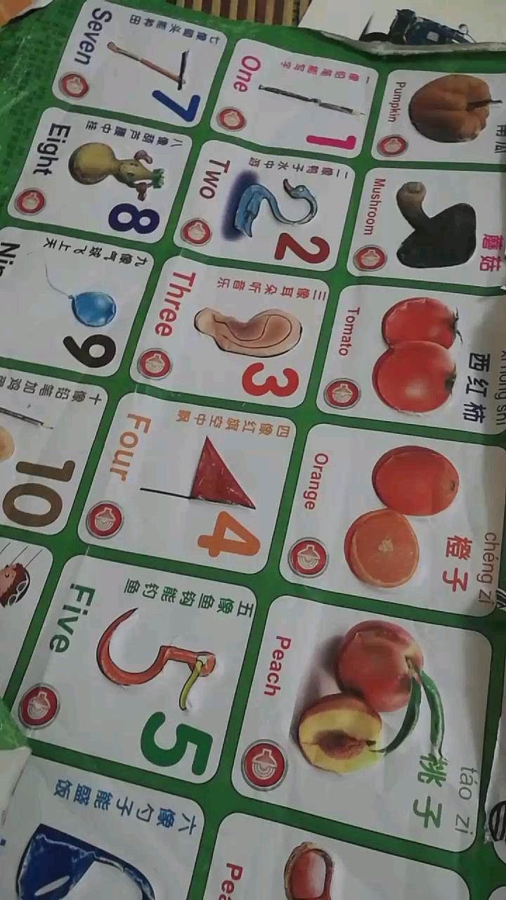 五像鱼钩能钓鱼铅笔加鸡。 Five