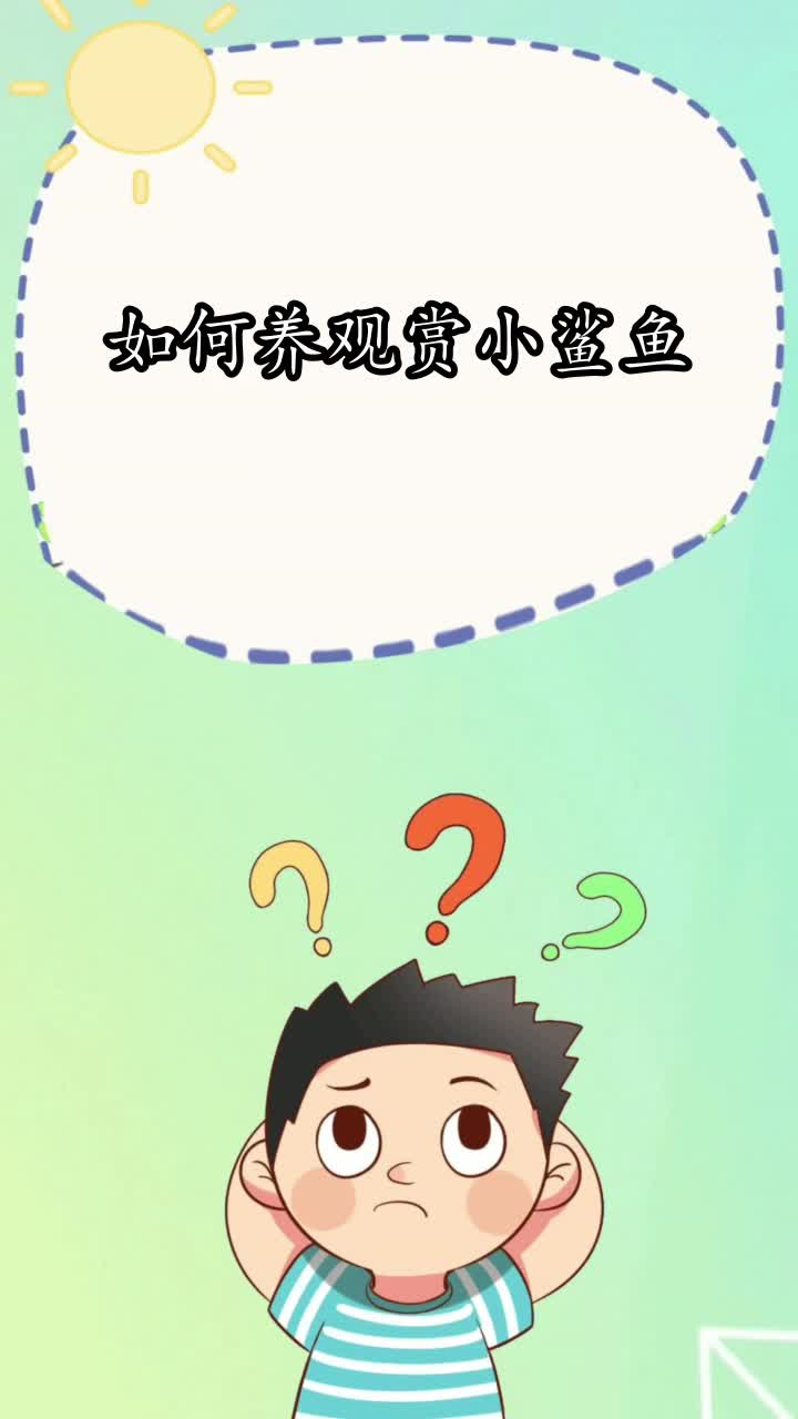 如何养观赏小鲨鱼,你知道了吗