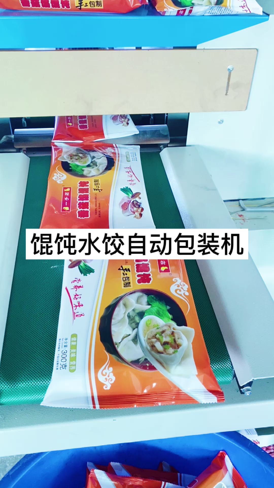 馄饨饺子托盒自动包装机械 汤圆打包套袋机械