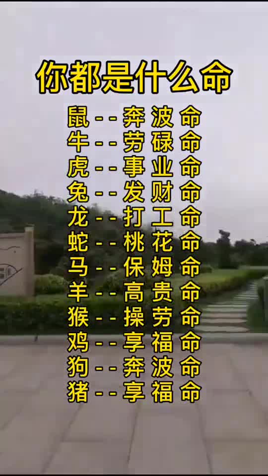 无题目(272)