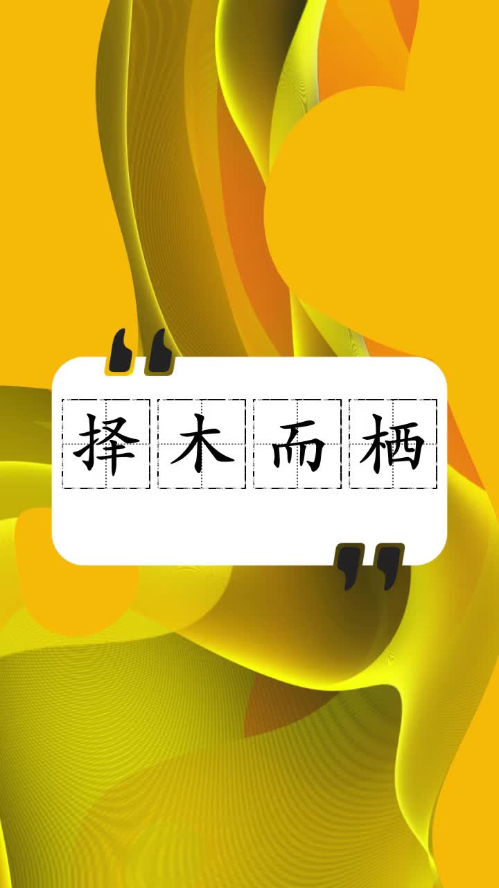 择木而栖是什么意思你学会了吗?