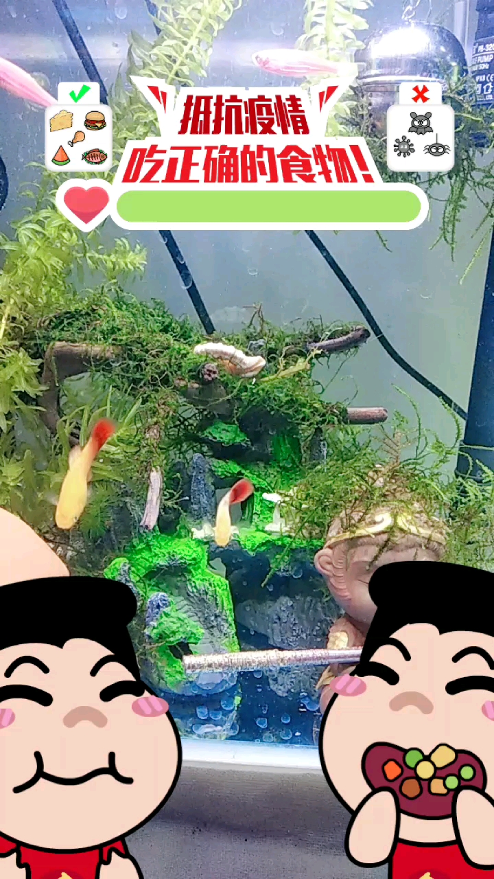 #我和春天有个约会#热带鱼