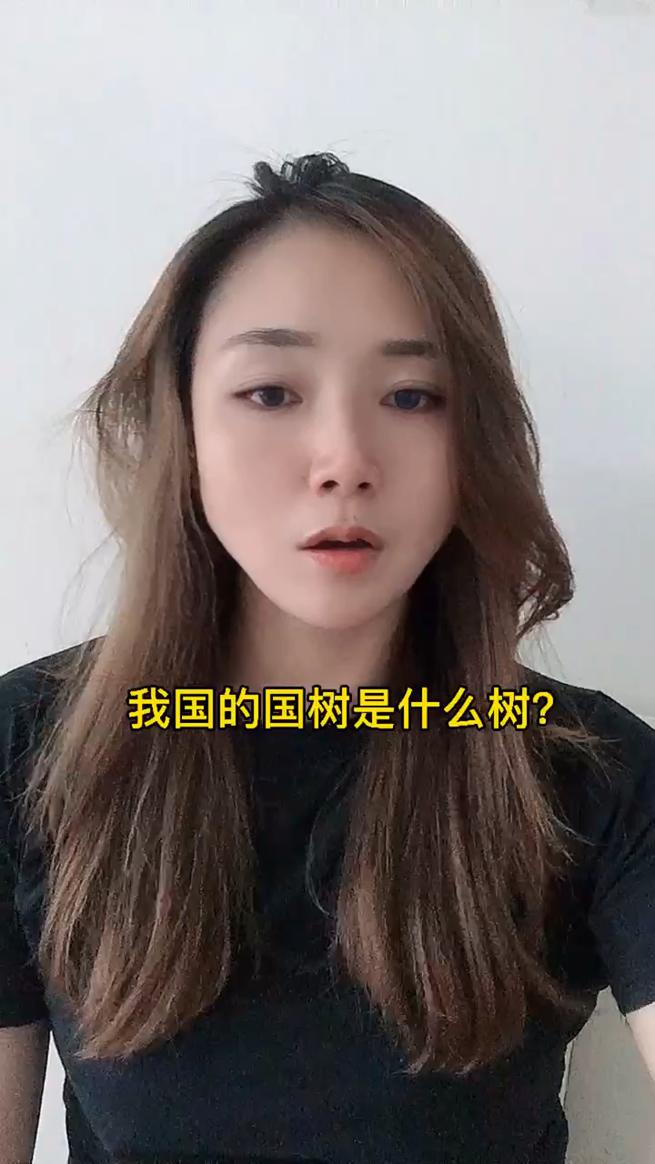 我国的国树是什么树