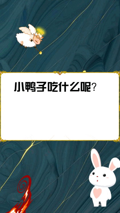 小鸭子吃什么呢?