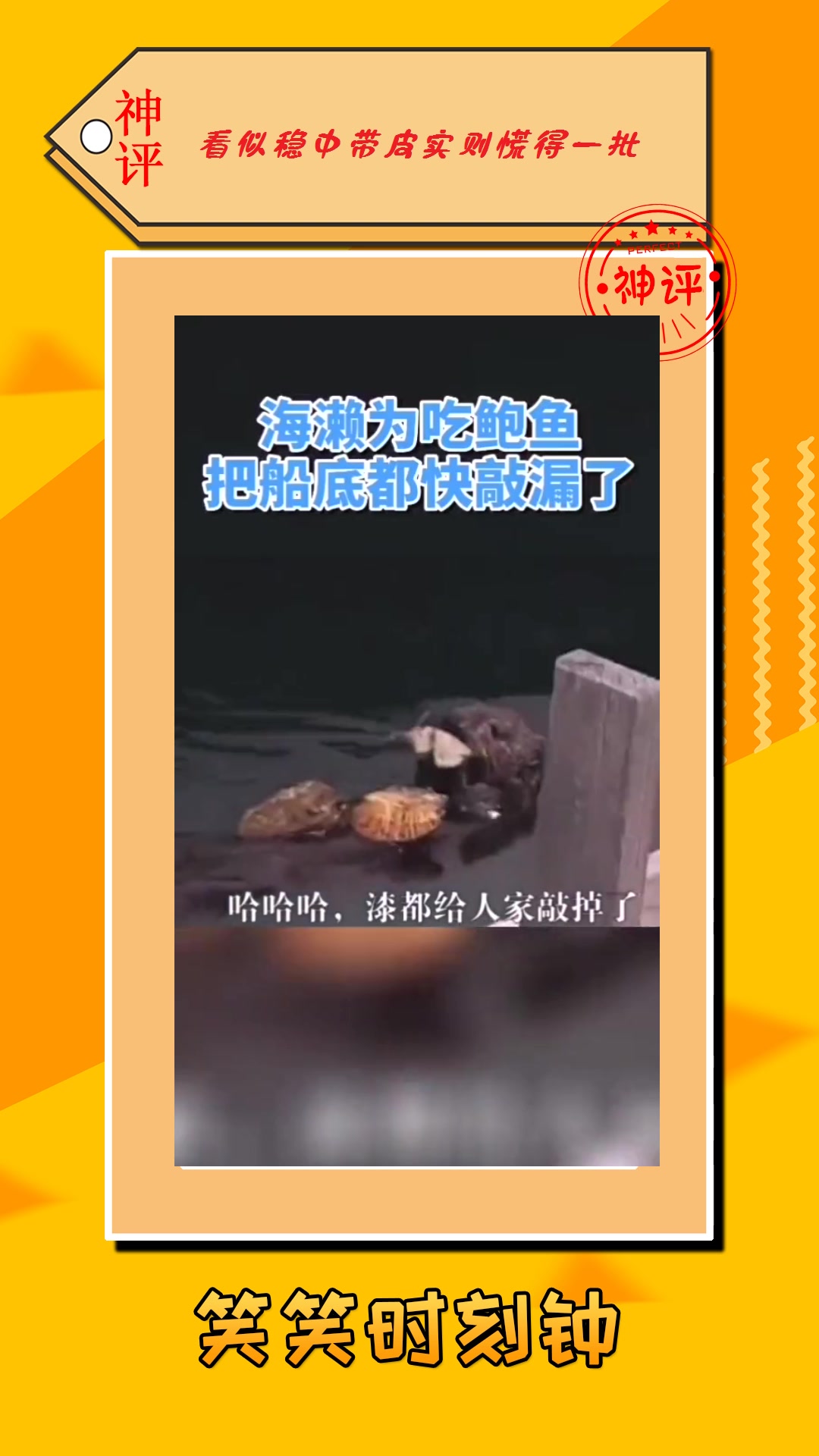 #搞笑#海濑为了吃鲍鱼,拿石头砸船底,船底都快敲掉漆了!