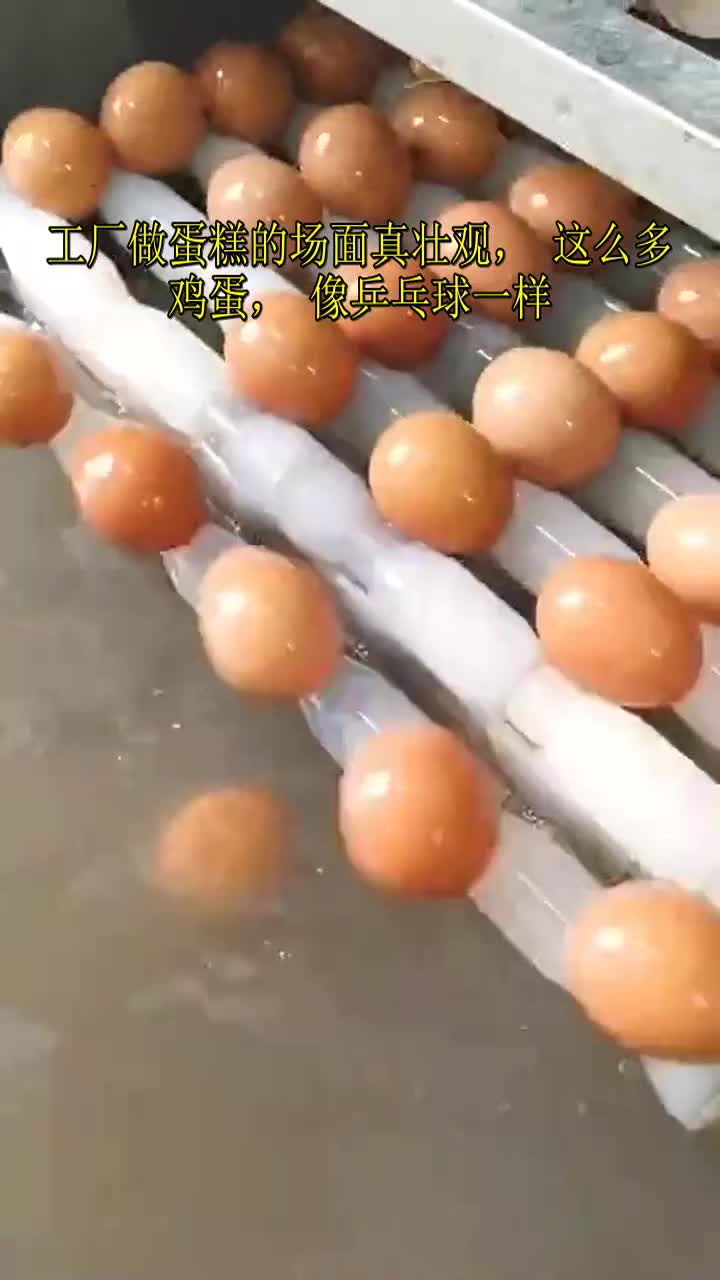 工厂做蛋糕的场面真壮观,这么多鸡蛋,像乒乓球一样