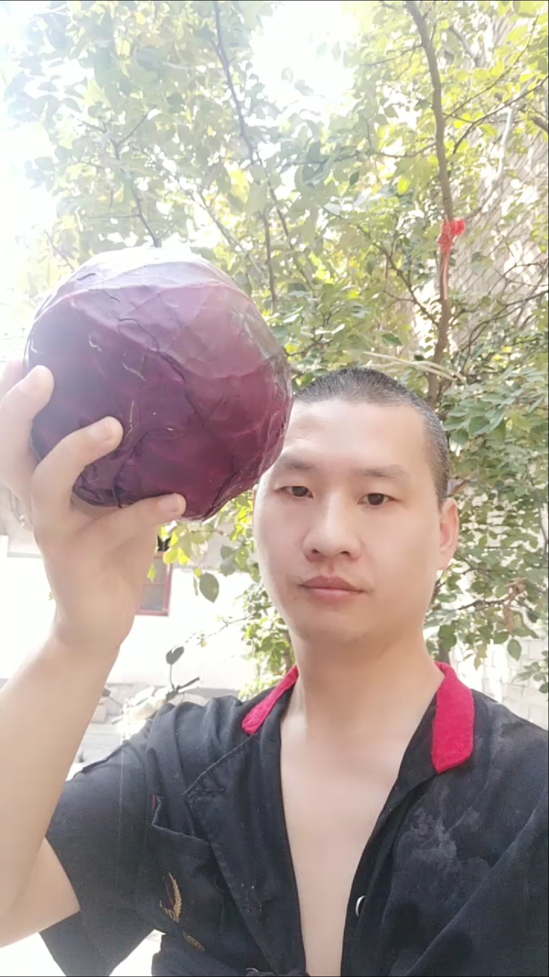 #爱美食爱生活#切,紫包菜丝凉拌着好吃