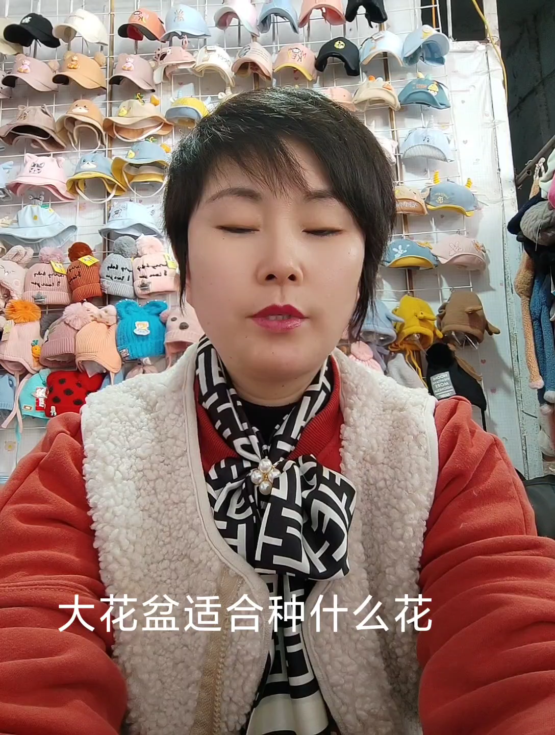 大花盆适合养什么花