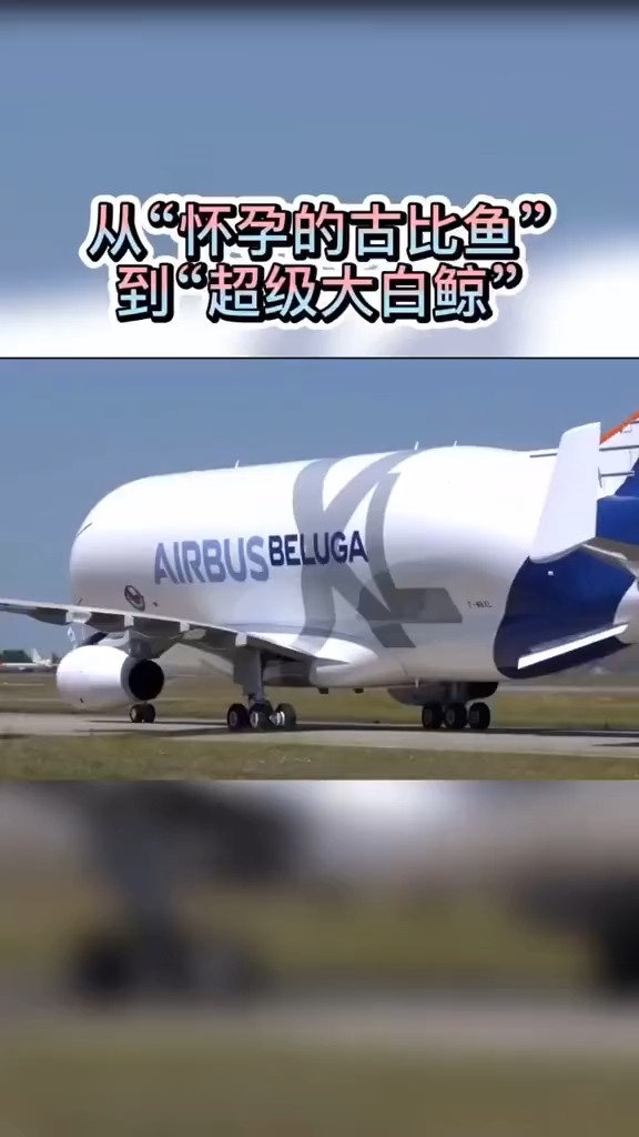 史上又萌又丑的运输机来了!