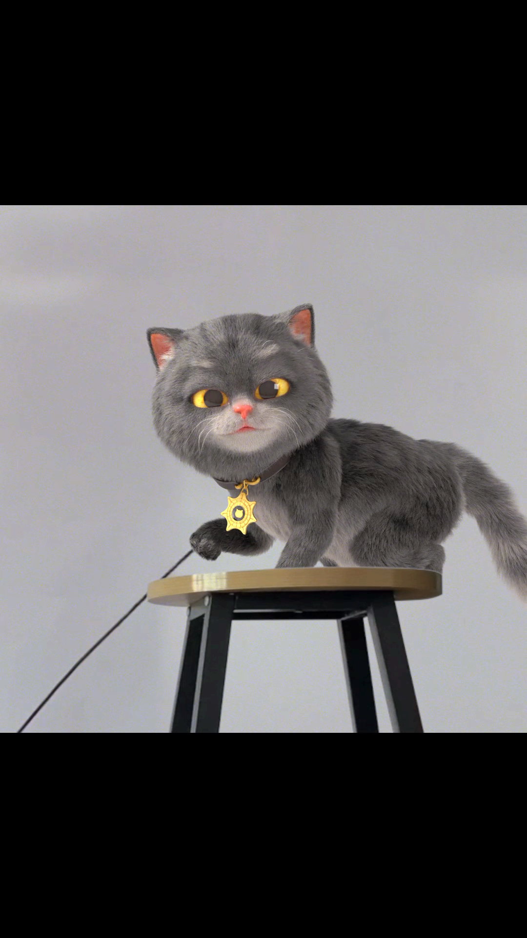 #小小爱宠萌化你#猫是怎么逗猫的?