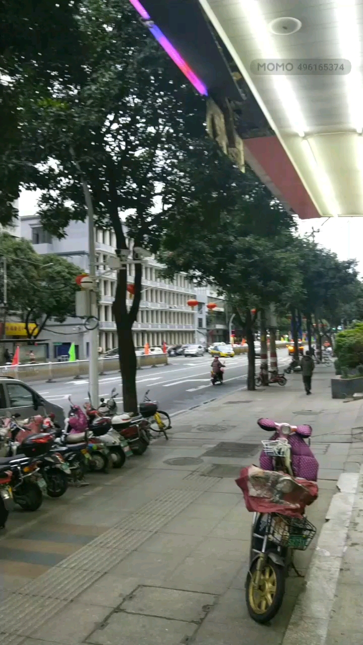 往日熙熙攘攘的街道 今天怎么这么安静
