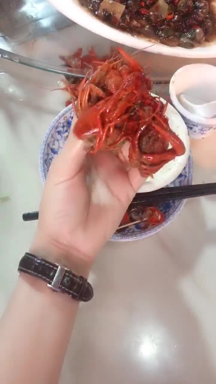 被玩坏了的小龙虾皮皮虾我们走