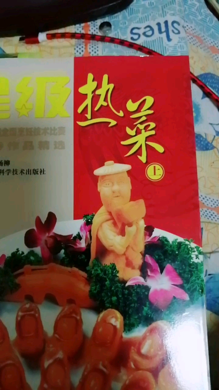 第一线大厨必要参考资料!此书上下册,当今全国烹饪技术比赛获奖菜品精版图文并茂珍贵