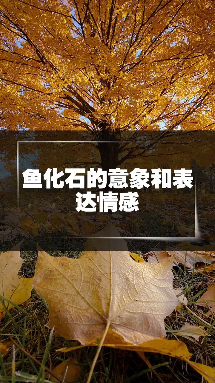 鱼化石的意象和表达情感