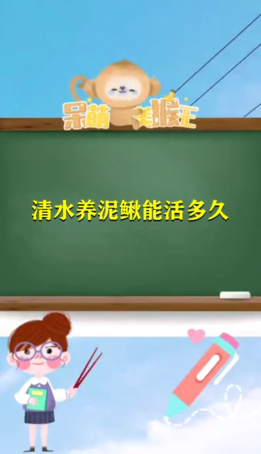 清水养泥鳅能活多久