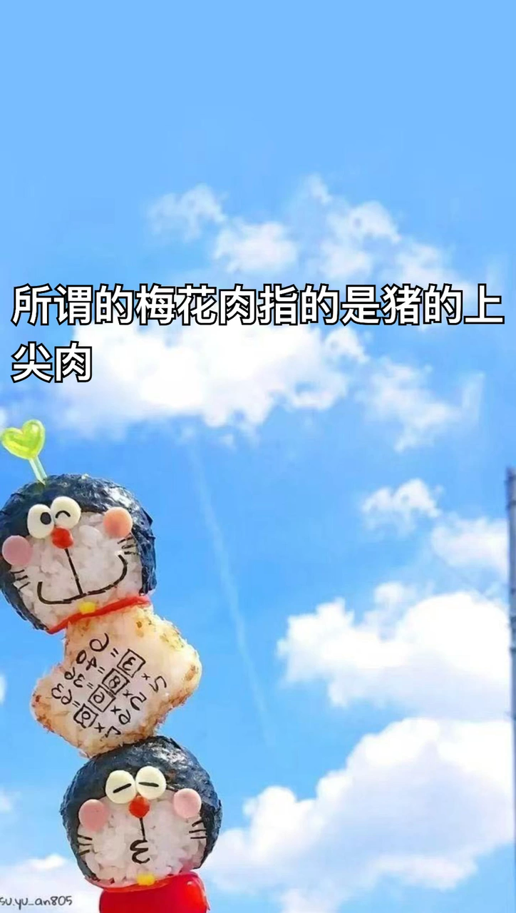 梅花肉是哪个部位图