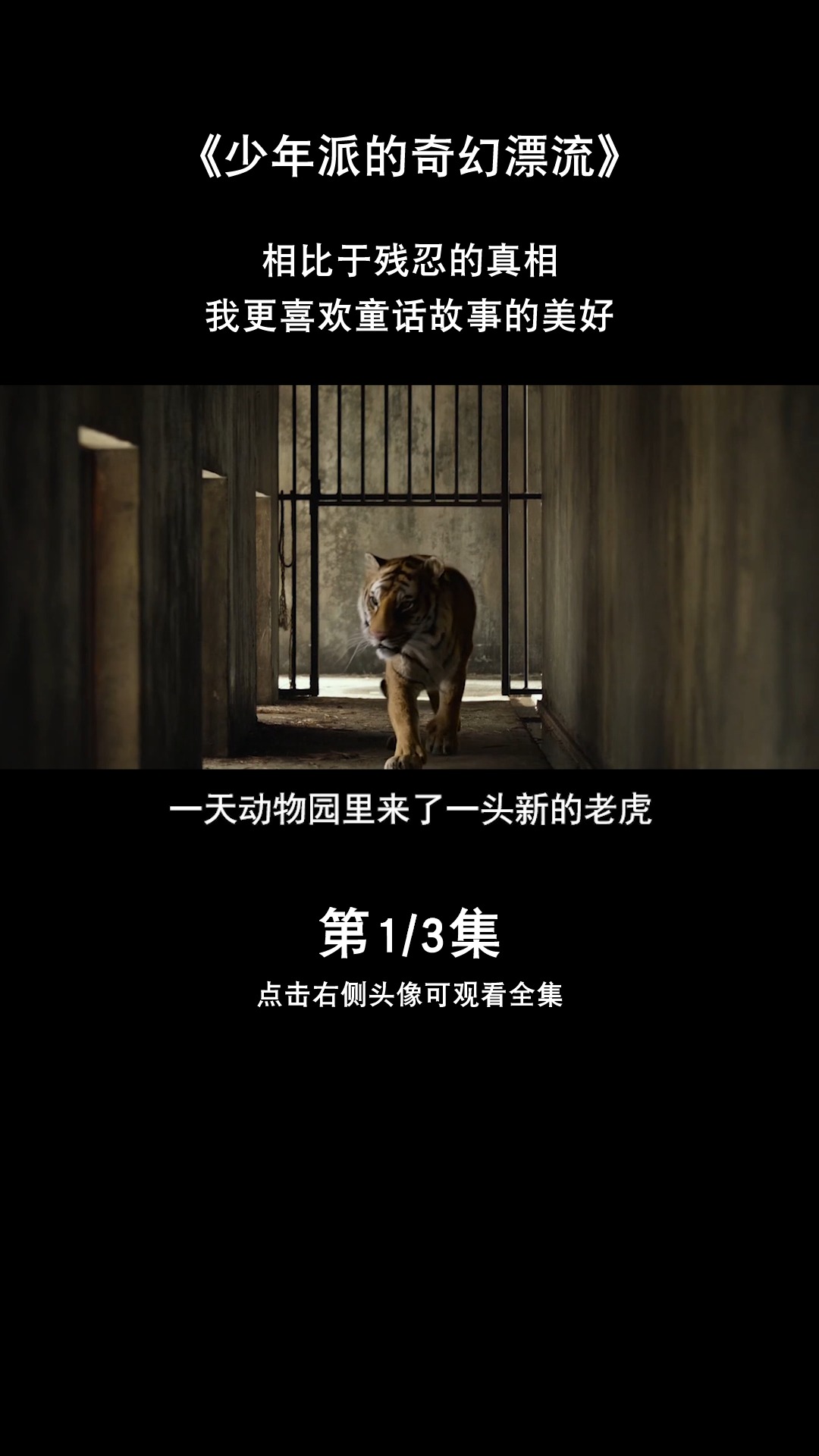 #电影剪辑#相比于残酷的真相,我更喜欢童话故事的美好~《少年派的奇幻漂流》