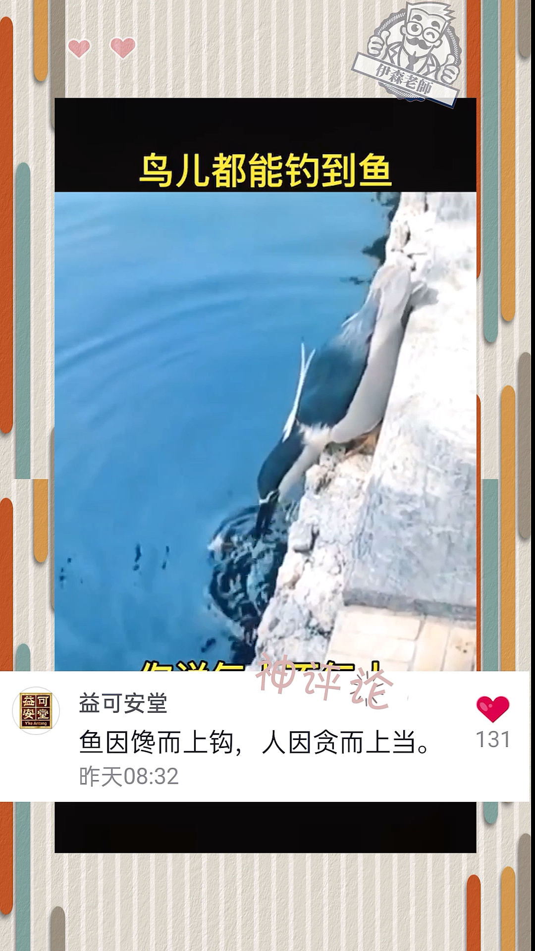 鸟儿都知道用诱饵钓鱼啦