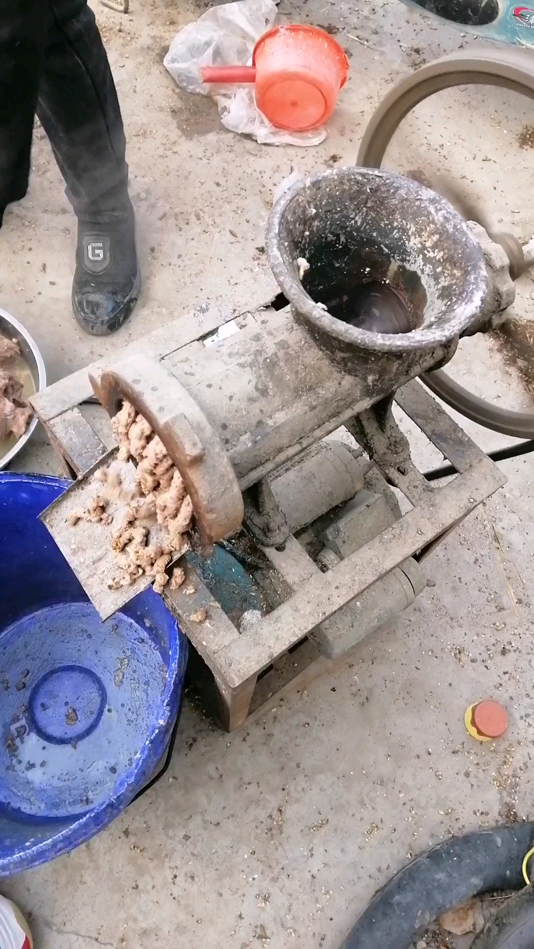 鸡骨架